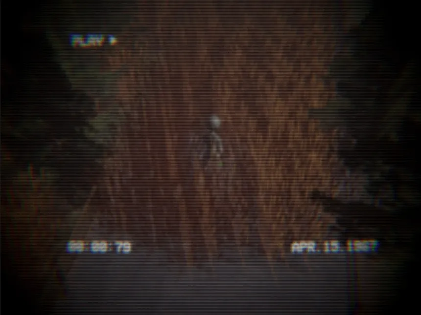 Скриншот 5 к игре Homing Instinct