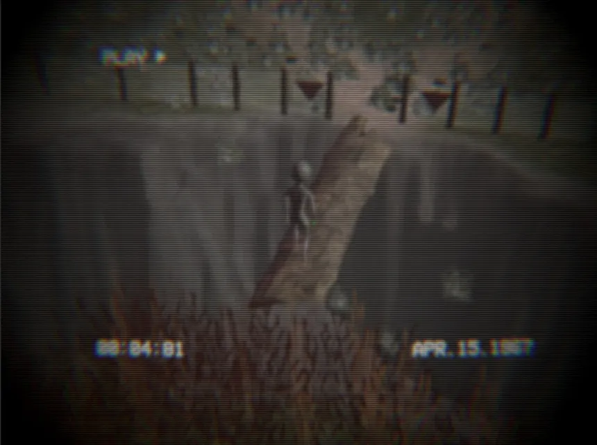 Скриншот 6 к игре Homing Instinct
