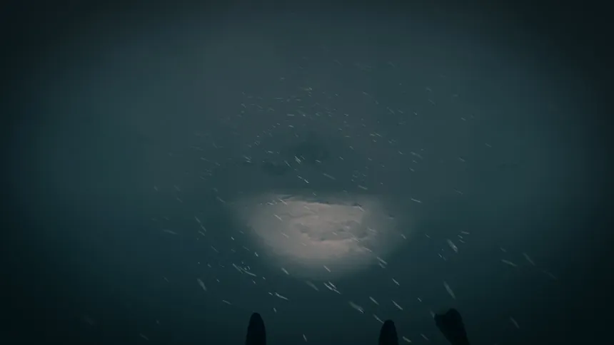 Скриншот 4 к игре The Last Ski Trip