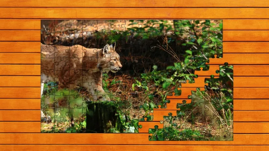 Скриншот 1 к игре Wild Lynx Jigsaw