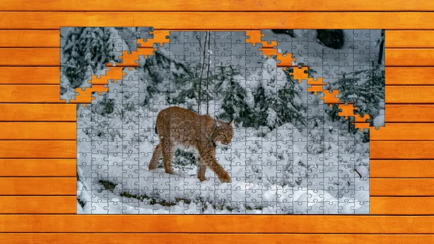 Скриншот 3 к игре Wild Lynx Jigsaw