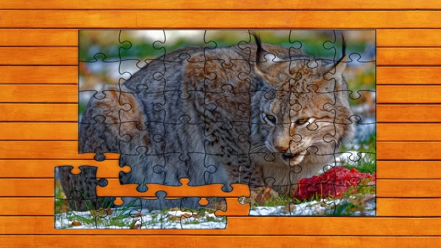 Скриншот 5 к игре Wild Lynx Jigsaw
