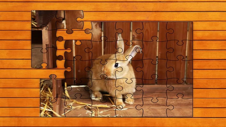 Скриншот 4 к игре Paw & Hop Jigsaw Quest