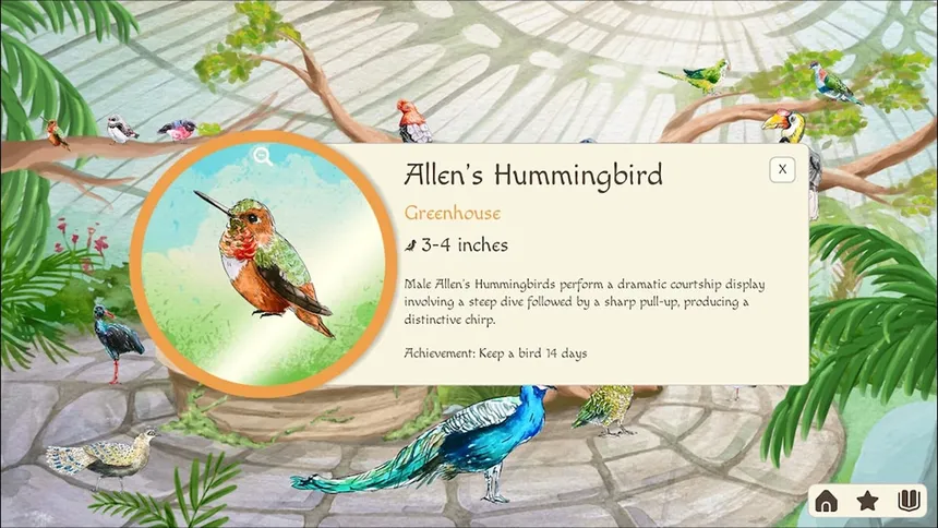 Скриншот 4 к игре Birdfull