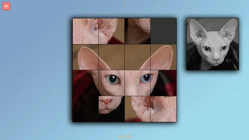 Скриншот 4 к игре TitTok Kitty