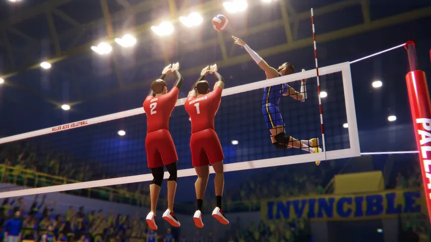 Скриншот 8 к игре Killer Aces Volleyball