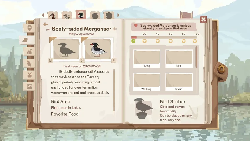 Скриншот 5 к игре Birdwatching Notebook