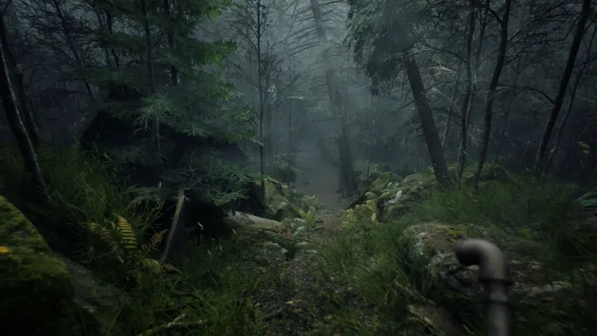 Скриншот 2 к игре Whispers in the fog