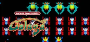 ARCADE GAME SERIES: GALAGA