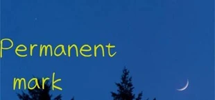 Permanent mark