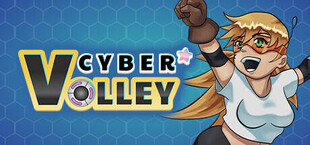 Cyber Volley