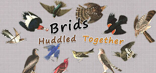 Birds Huddled Together