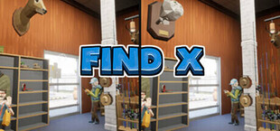 Find X :  Find the Difference in 4D