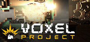 Voxel Project VR