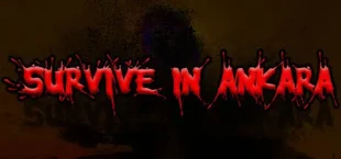 Survive In Ankara