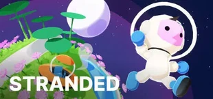 Wild Cosmos