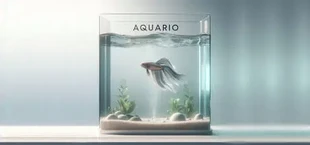 Aquario
