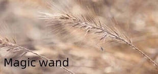 Magic wand