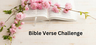 Bible Verse Challenge