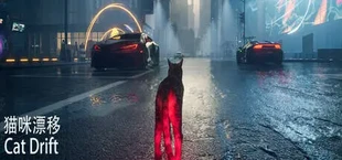 猫咪漂移 Cat Drift