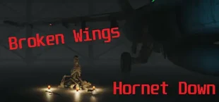 Broken Wings: Hornet Down