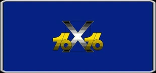 16X16