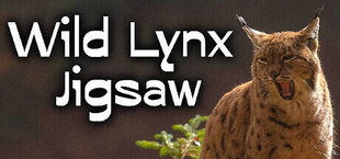 Wild Lynx Jigsaw