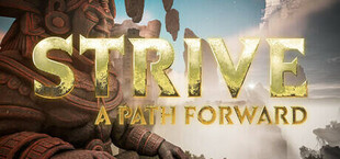 Strive: A Path Forward