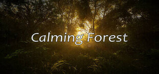 Calming Forest