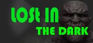 Lost in the Dark