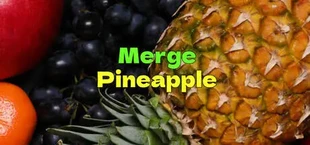 Merge  Pineapple