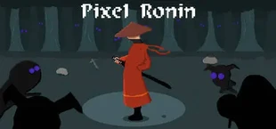 Pixel Ronin