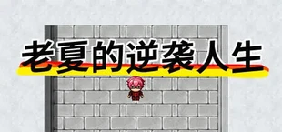 老夏的逆袭人生