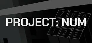 Project: Num