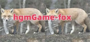 hgmGame-fox