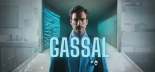 Gassal Simulator