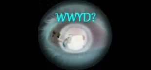 What Would You Do?
