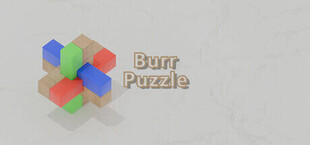 Burr Puzzle