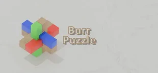 Burr Puzzle