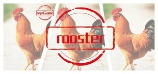 Игра hgmGame-rooster hgmGame-rooster