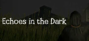 Echoes in the Dark