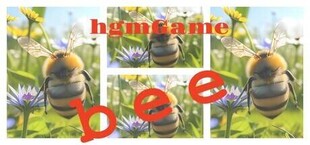 hgmGame-bee