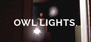 Owl Lights
