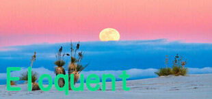 Игра Eloquent Eloquent
