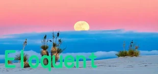 Eloquent