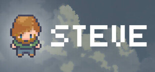 Игра Steve Steve