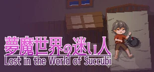 Lost in the World of Succubi
