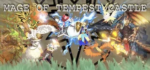 Mage of Tempest Castle