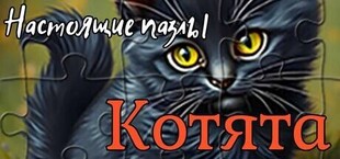 Игра Настоящие пазлы - Котята Настоящие пазлы - Котята