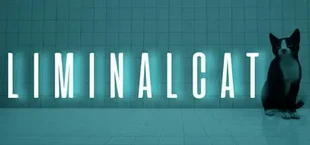 LIMINAL CAT
